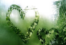 下载 Android 版 imtoken 钱包_(下载 imtoken 钱包 10)