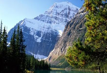 下载 Android 版 imtoken 钱包_(下载 imtoken 钱包 10)